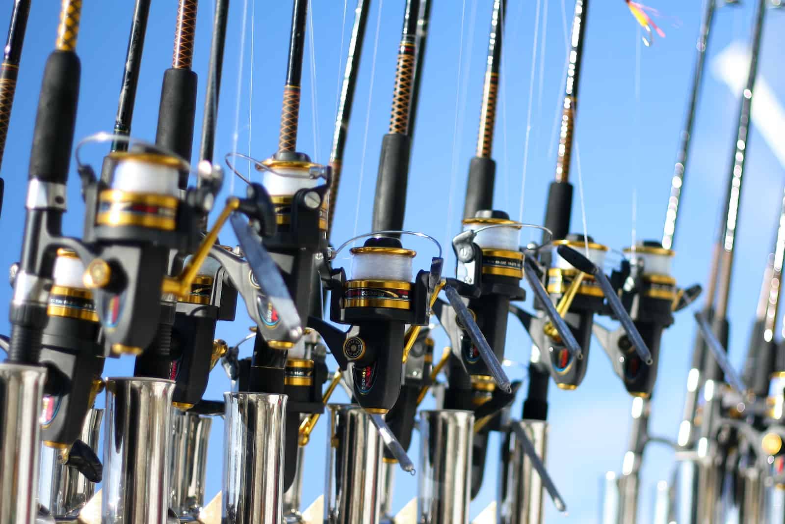 Exploring The Different Types Of Fishing Reels And Their Applications
